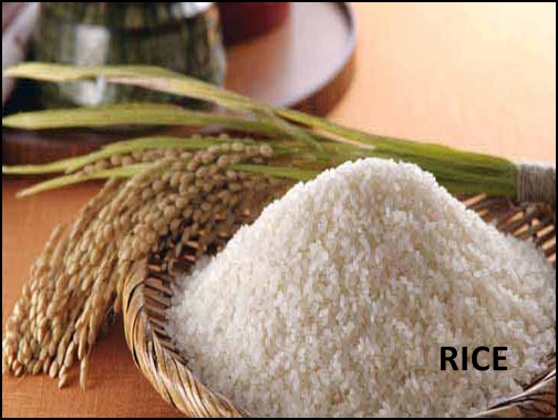 RICE